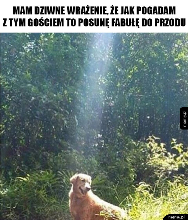 Mam takie dziwne wrażenie
