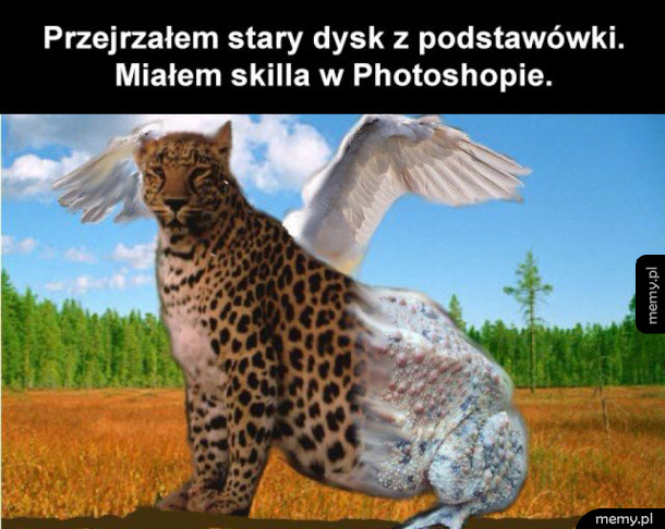 Miało się talencik