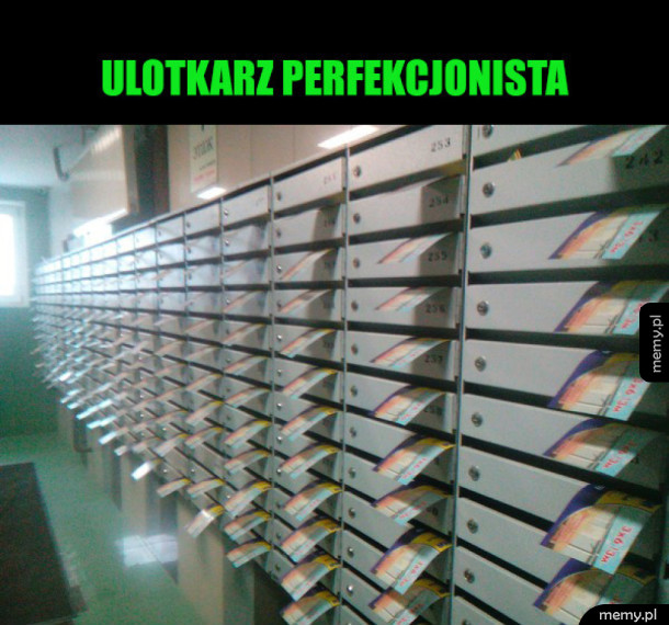 Ulotki od perfekcjonisty