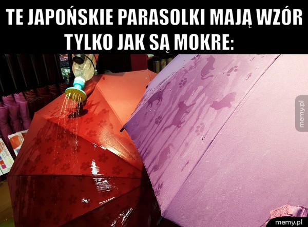 Niezły pomysł