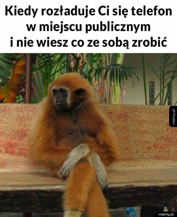 Tak wiele pytań