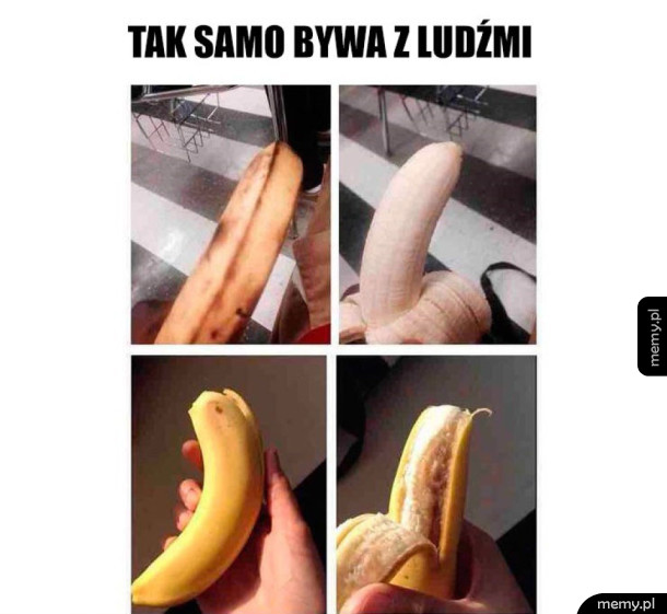 Inne  wnętrze