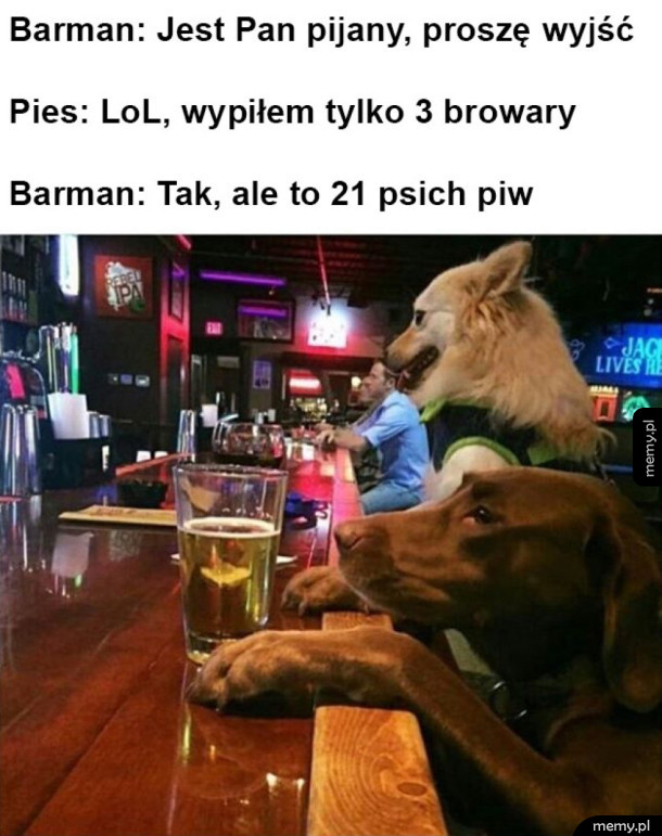 Psi przelicznik