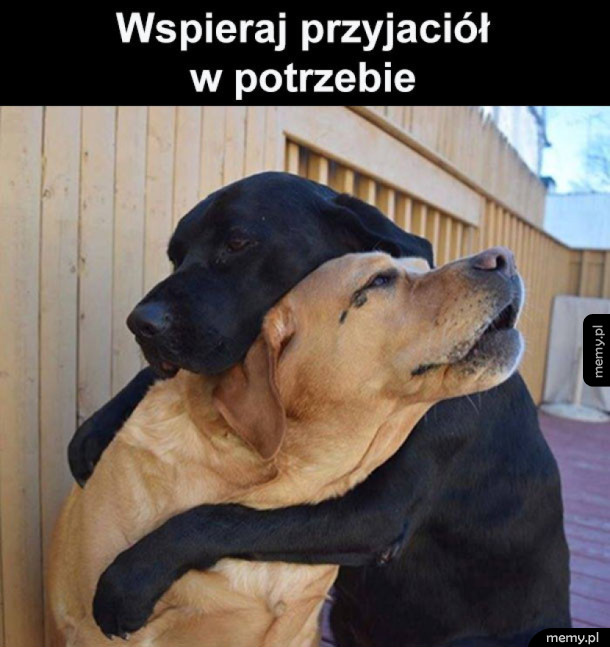 Prawdziwa przyjaźń