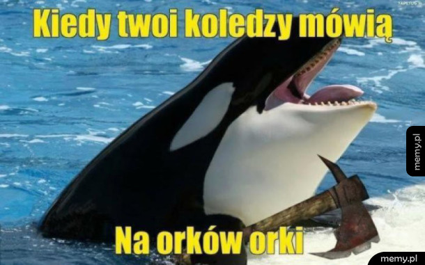 Orkowie!