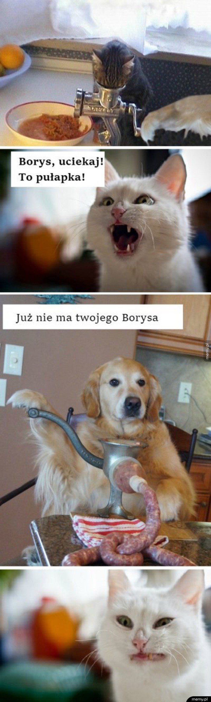 Biedny Borys