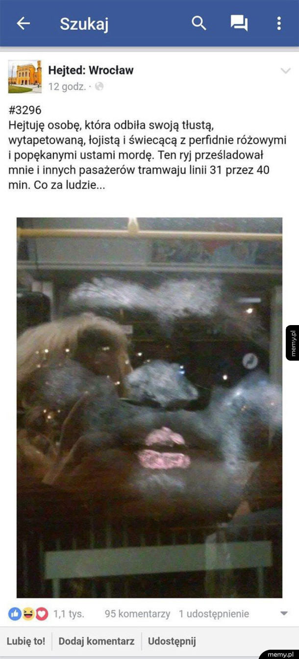 Przerażająca historia