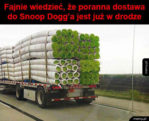 To dobra wiadomość