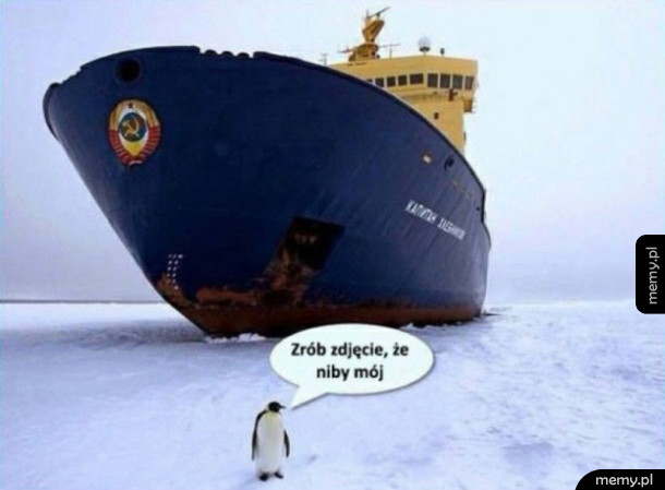 Że niby mój