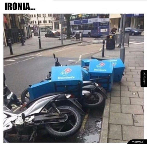 Domino