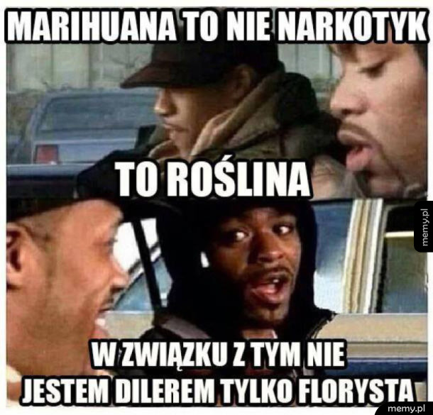 Marihuana to roślina