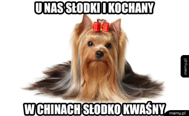 Psy
