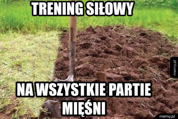 Najlepszy Trenażer