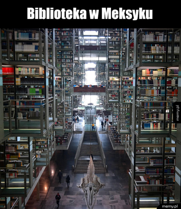 Biblioteka