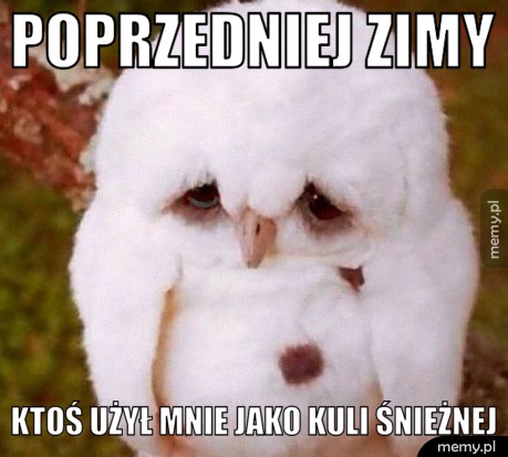 Problemy sówek