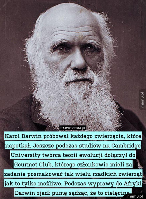 Prawdziwy smakosz