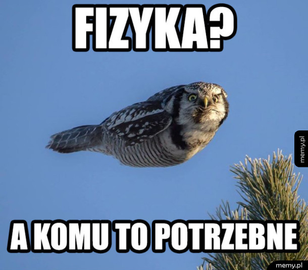 Fizyka?