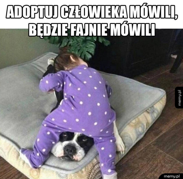 Adopcja człowieka
