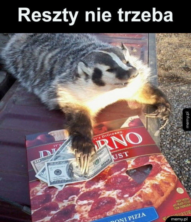 Dziękuję za dostawę