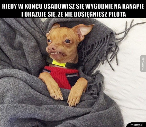 Najgorzej!