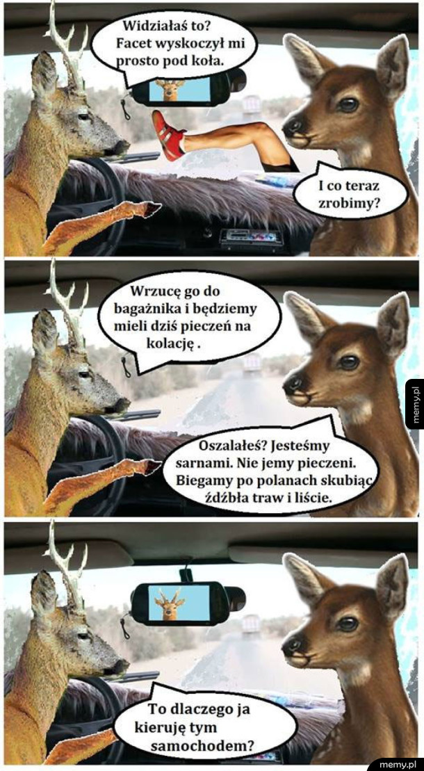 Sarny mają problem