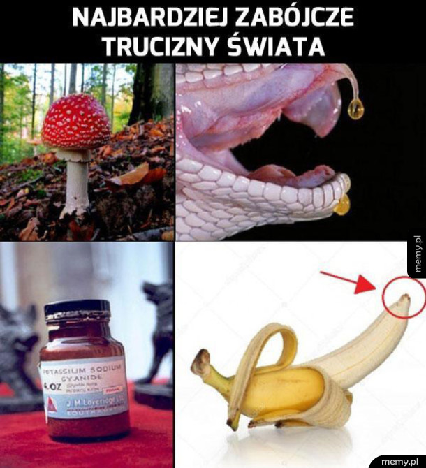 Uważaj na te zabójcze substancje