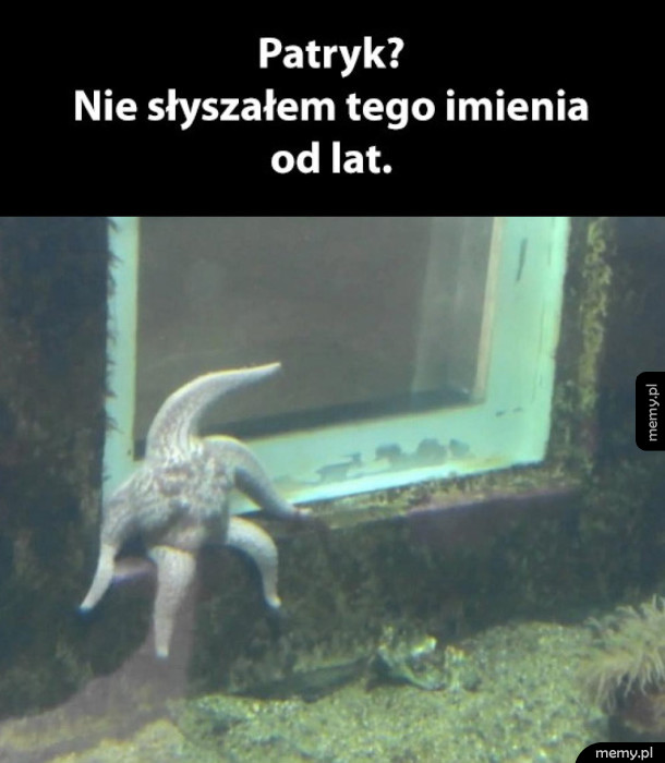 Patryk