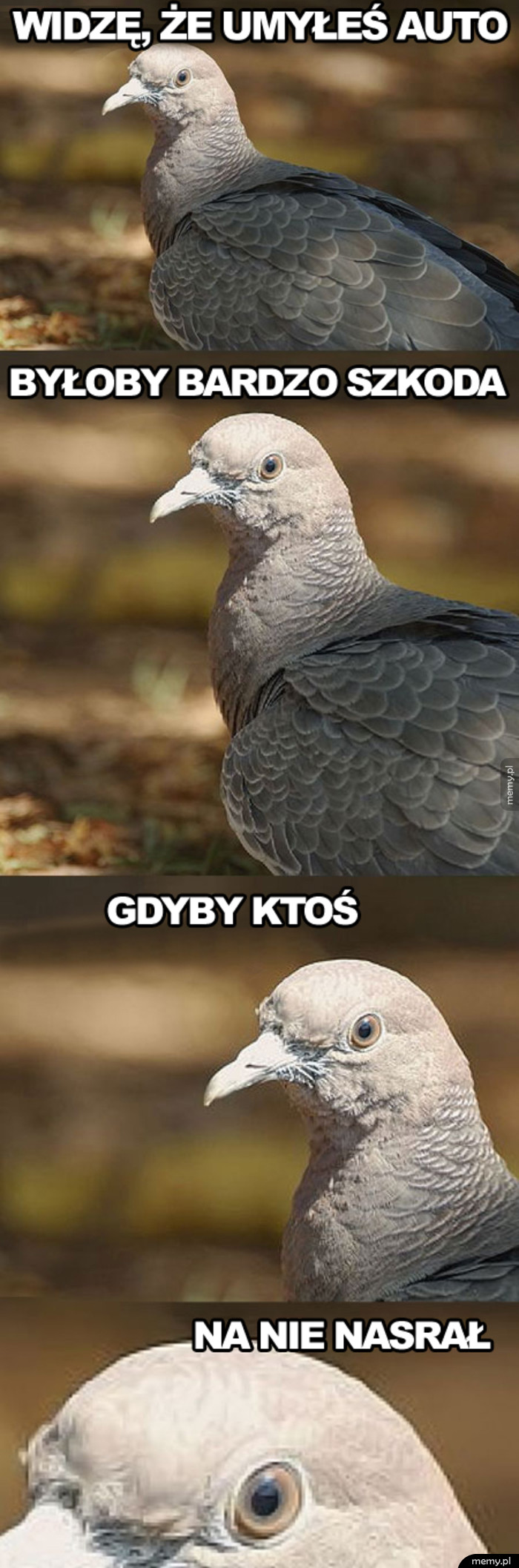 Widzę, że umyłeś auto  