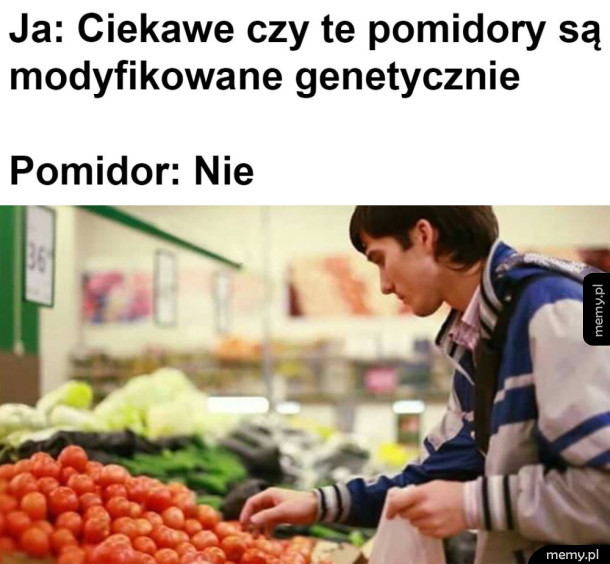 Pomidor wyjaśnił