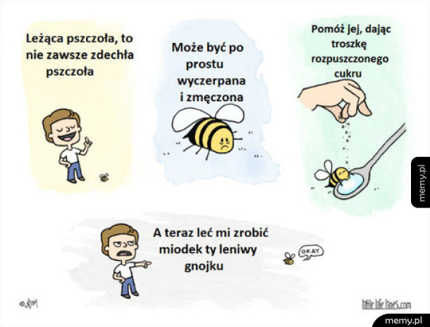 Pszczoła