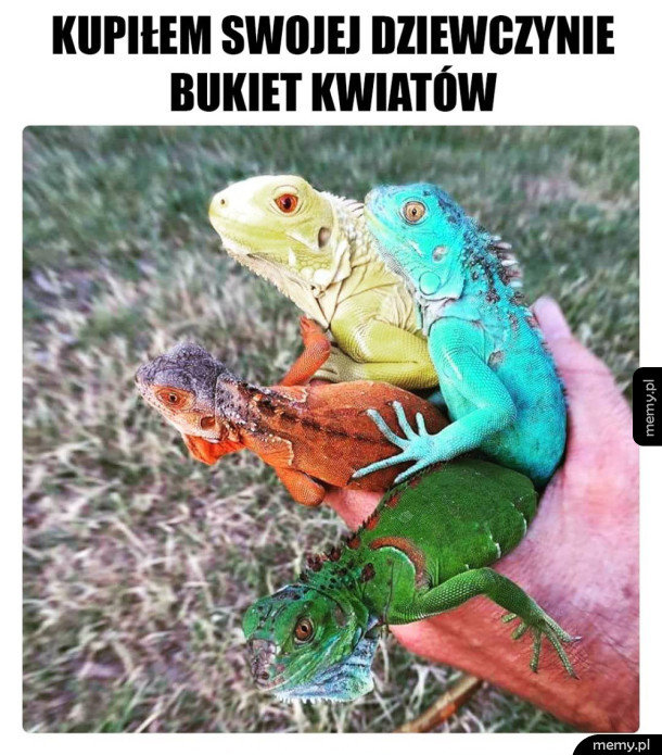 Nietypowy bukiet kwiatów