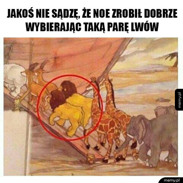 Noe chyba coś zwalił