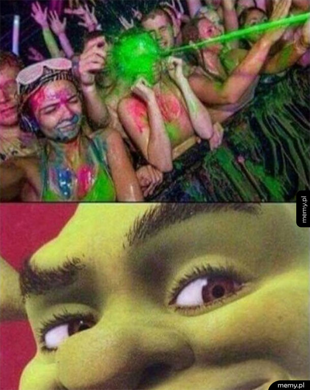 Shrek jest zadowolony