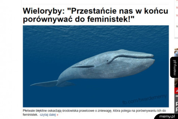 Wieloryby oburzone