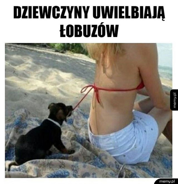 Jestem łobuzem