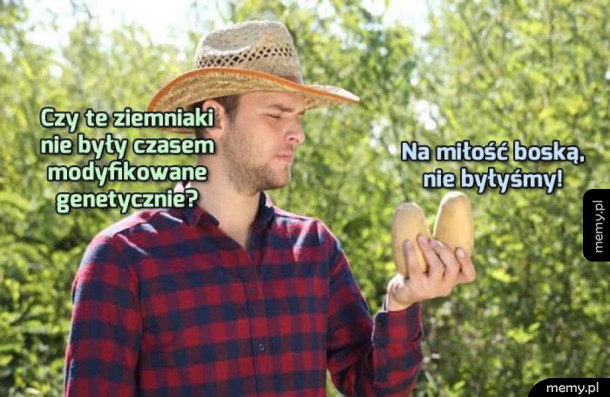 Dzięki Bogu