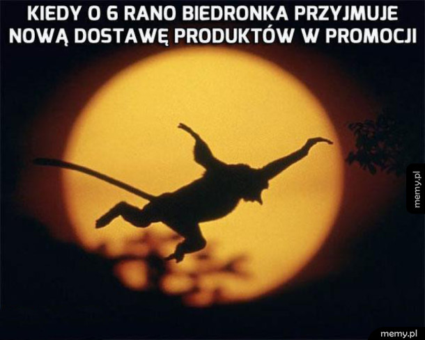 Powstanie Janusza