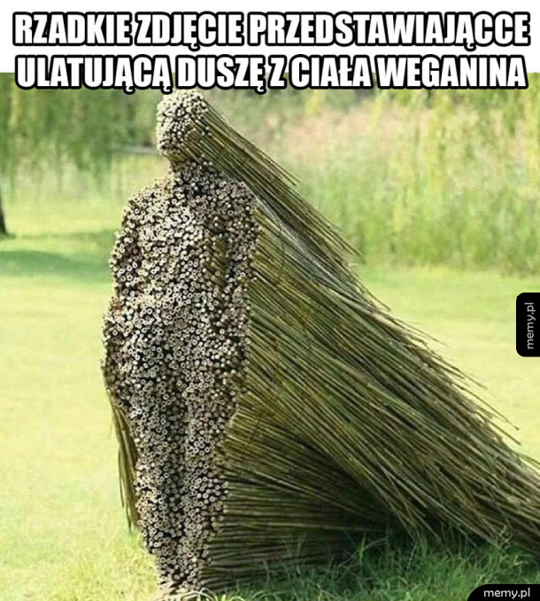 Niespotykany widok