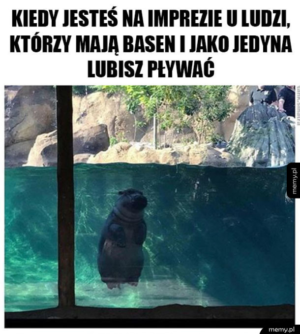 I tak się dobrze bawię