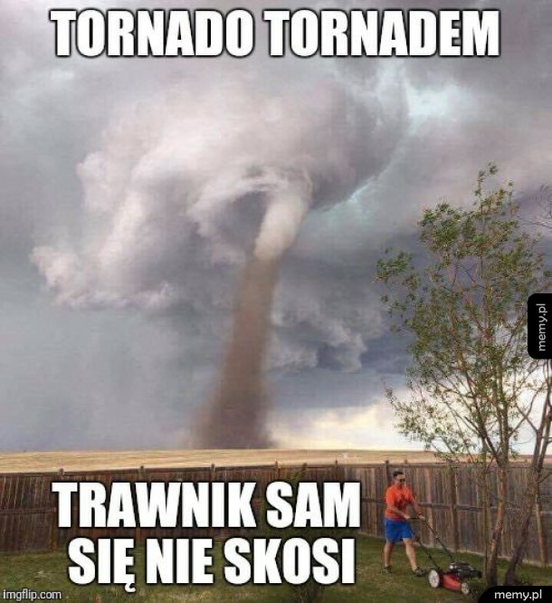 Trawę kosić trzeba