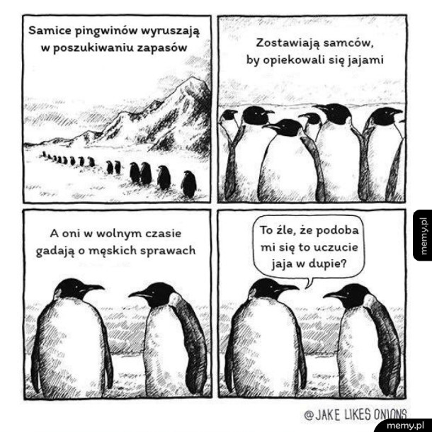 Pingwiny