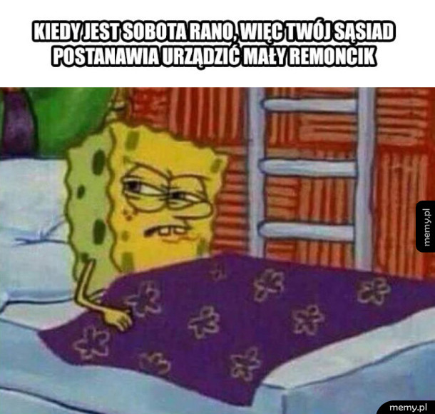Typowy sąsiad