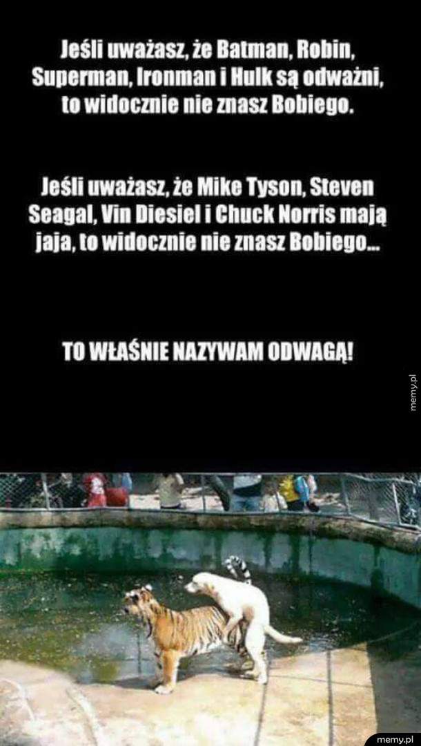 Prawdziwy bohater
