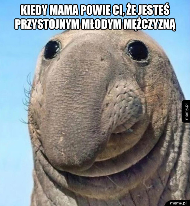 Dziękuję mamo