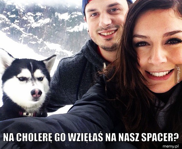 Na cholerę...