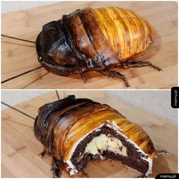 Smaczne ciasto dla twojej żony