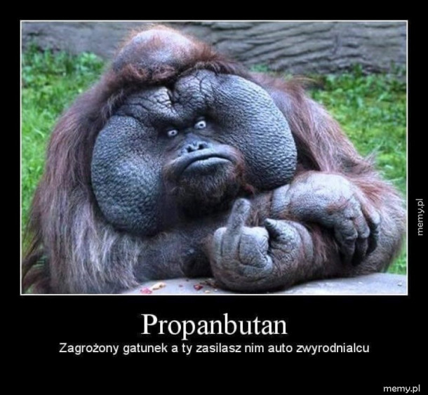 No straszne