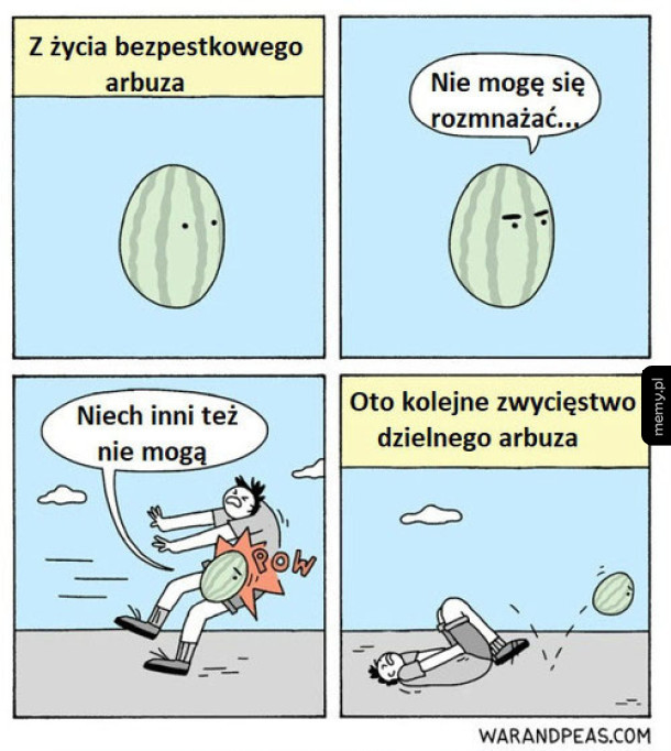 Bezpestkowy arbuz