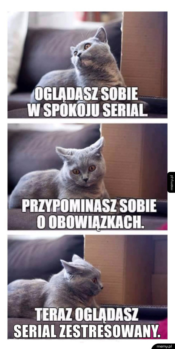Oglądanie seriali
