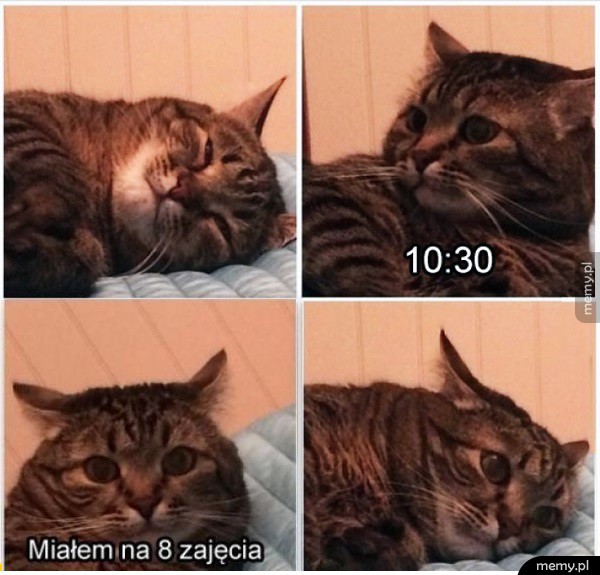 No najgorzej